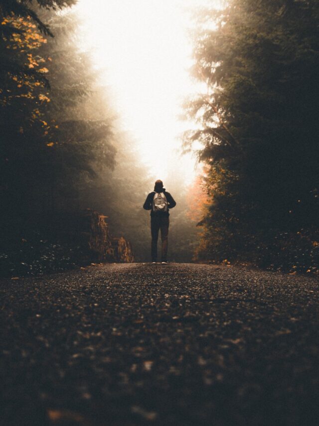 Male with a backpack standing on a path between tall thick trees looking at the light