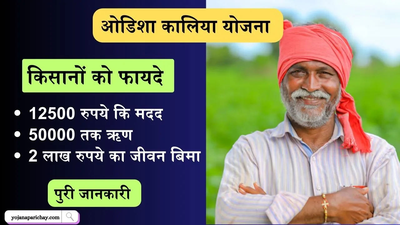 Kalia Yojana 2024