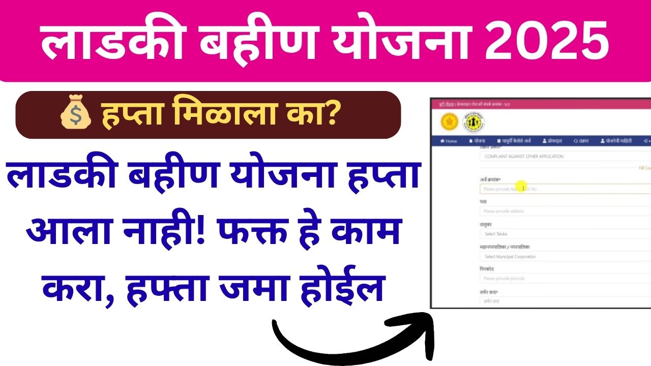 Ladaki Bahin Yojana not received money