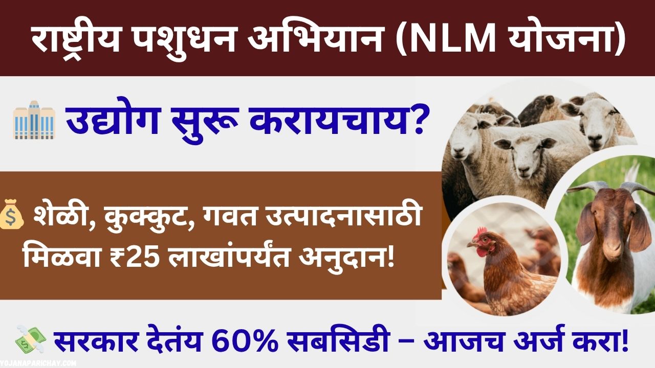 NLM Yojana