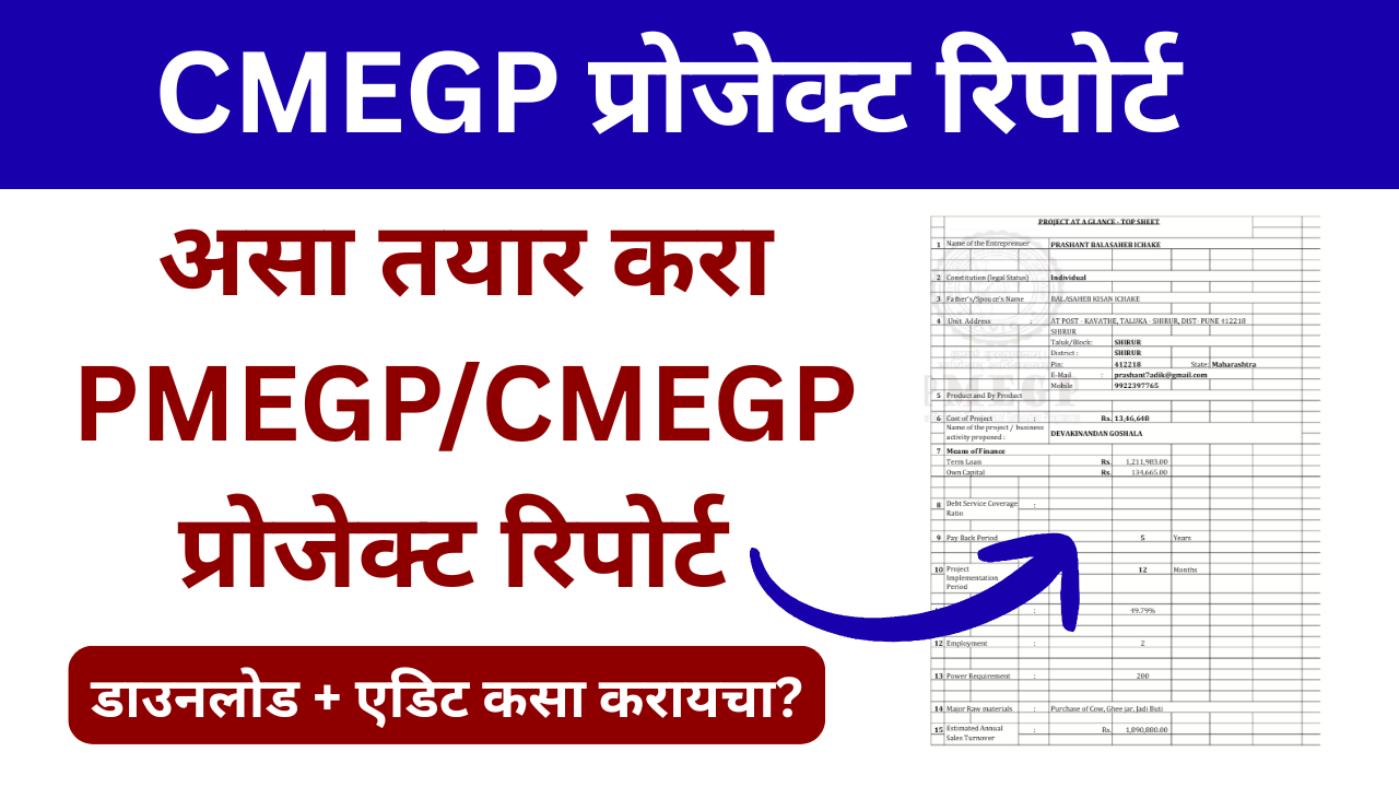 PMEGP / CMEGP / Mudra Loan Project Report